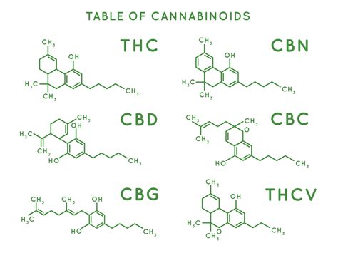 Cannabinoid structure. Cannabidiol molecular structures, THC and CBD ...