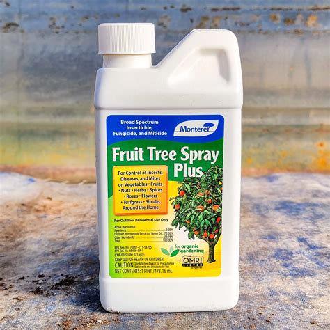 Organic Pesticide For Fruit Trees - PestPhobia