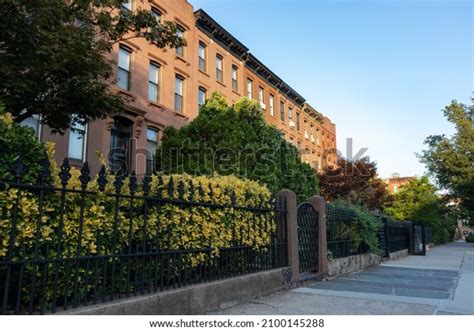 305 Carroll Gardens Royalty-Free Photos and Stock Images | Shutterstock