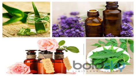 8 Plants That Are Good For Your Skin - Boldsky.com