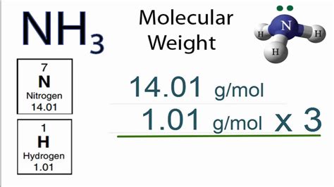 Molar Mass / Molecular Weight of NH3 (Ammonia) - YouTube