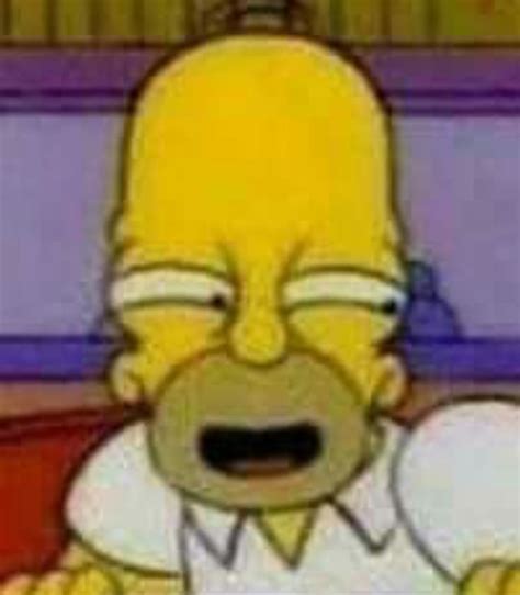 View 24 Homer Simpson Meme Face - redragruesz