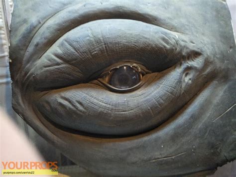 The Shallows Humpback Whale Eye original movie prop