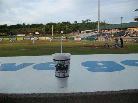 Tennessee Smokies Stadium Seating Chart | Elcho Table