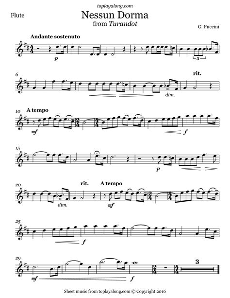 Puccini - Nessun Dorma from Turandot | Saxophone sheet music, Sheet music, Flute sheet music