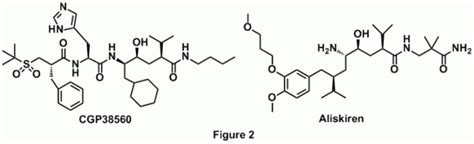 Direct Renin Inhibitors as Antihypertensive Drugs | All Time Favorites ...