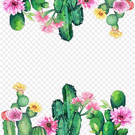 Watercolor Cactus Hd Transparent, Watercolor Cactus And Flowers Border, Flowers, Plant, Cactus ...