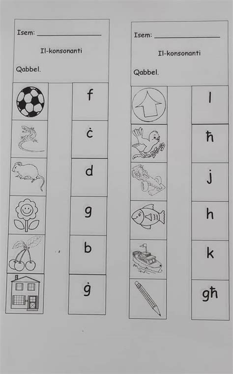 Maltese worksheets for... - Have Fun Learning Private Tuition | Facebook