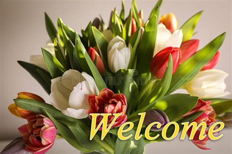 Welcome Card. Bouquet of Beautiful Tulip Flowers and Word on Light Background, Closeup Stock ...