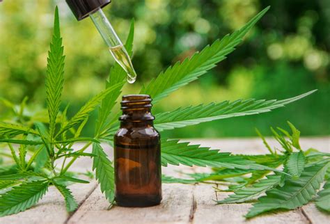 How to make cannabis tincture - CBD Guide