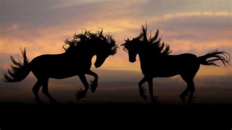 Horses 4k Wallpapers - Top Free Horses 4k Backgrounds - WallpaperAccess