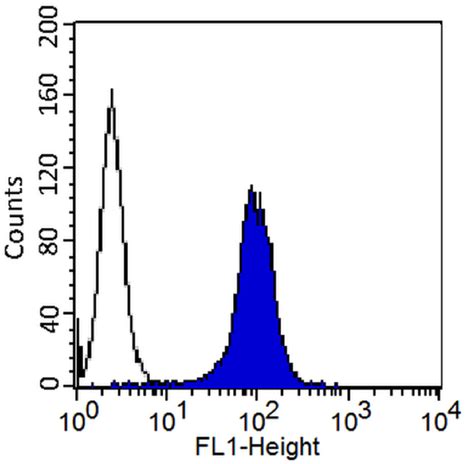 Anti-CD146 antibody [2Q401] (FITC) (GTX18166) | GeneTex