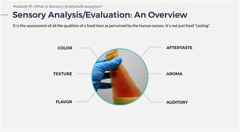 Advanced Sensory Analysis of Food - IEH Academy