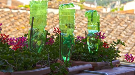 How to make a DIY drip irrigation system for free | Gardeningetc