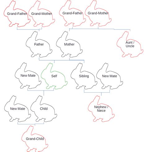 Rabbit Breeding System | McGreen Acres