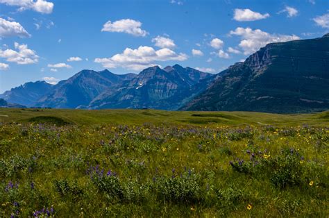 Mountain with field flowers by Mad-Tom-Of-Bedlam on DeviantArt