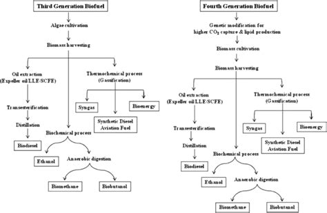 Third-and fourth generation biofuels [28]. | Download Scientific Diagram