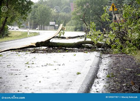 Wind Storm Damage stock image. Image of lumber, house - 59507787