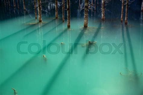 Lake Kaindy in the Kazakhstan | Stock image | Colourbox