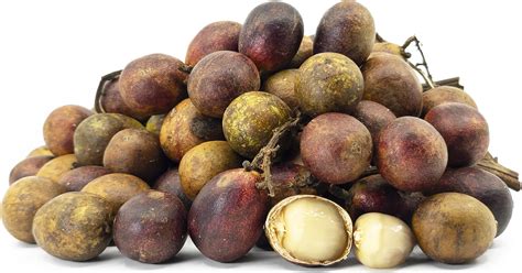 Gambar Buah Matoa Papua – analisis