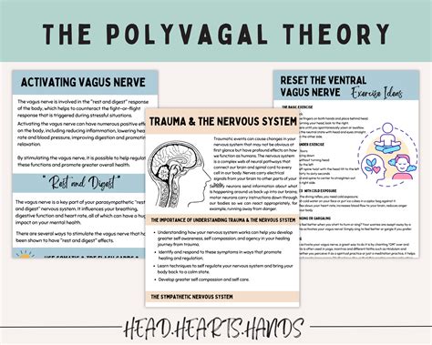 Polyvagal Theory Cheat Sheet Chart, Nervous System Regulation, Somatic Therapy, Regulating the ...