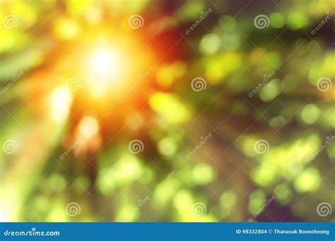 Abstract Blurred Green Nature Background with Sunlight. Stock Photo - Image of outdoor, season ...