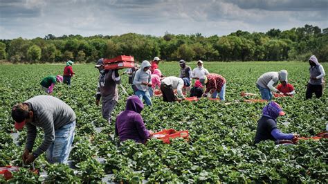 The Age of Robot Farmers | The New Yorker