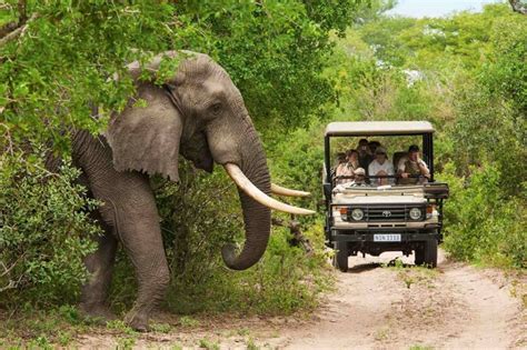 Che cosa vedere in Sudafrica in una settimana durante il viaggio di ...