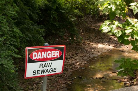 Why Raw Sewage Cleanup is Not a DIY Project | Rytech