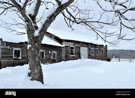 Winter scene in rural Ontario Stock Photo - Alamy