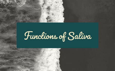 Functions of Saliva - Dental Pockets Blog