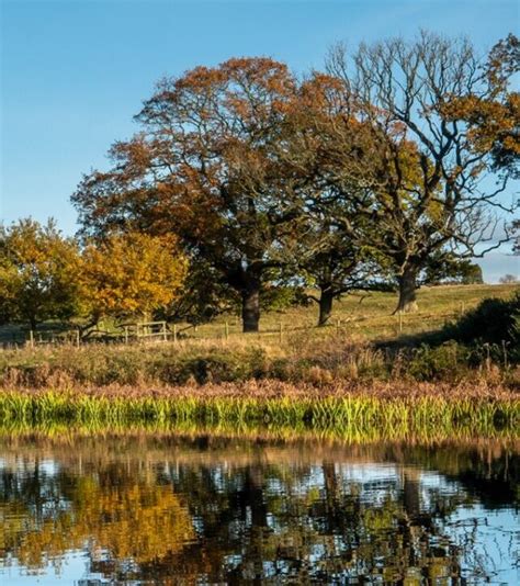 Good Journey – Getting to Felbrigg Hall, Gardens and Estate Car-free