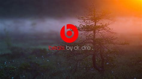 🔥 [80+] Beats By Dr Dre Wallpapers | WallpaperSafari