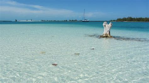 Sirena Beach (Cayo Largo) - All You Need to Know BEFORE You Go - Updated 2021 (Cayo Largo, Cuba ...