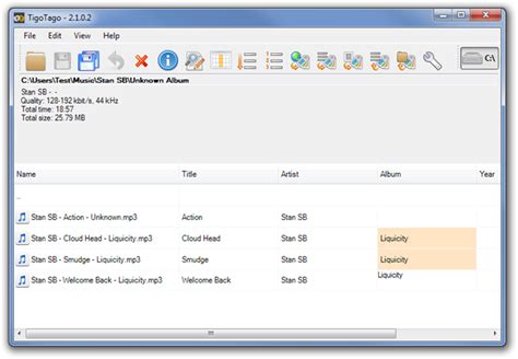 TigoTago: Spreadsheet-Based Batch Multimedia File Tag Editor