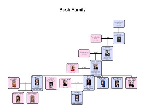 Astrid Lindgren Family Tree : r/UsefulCharts