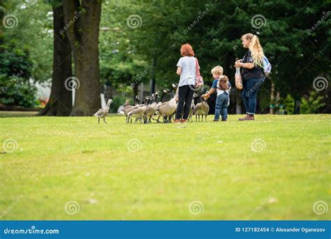 Family Feeding Ducks in the Park Editorial Stock Image - Image of ...