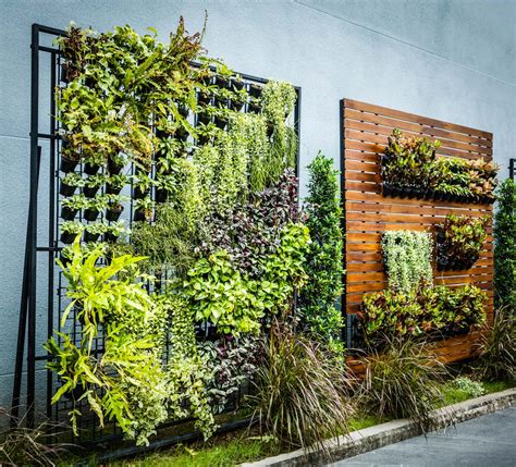 Vertical gardens are the key to self-sufficiency in the city