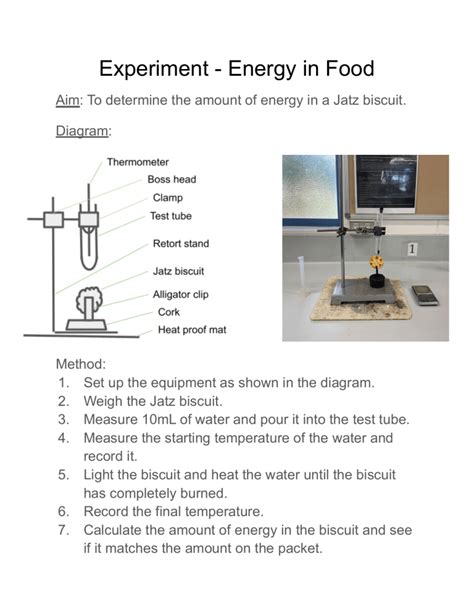 Experiment - Energy in Food