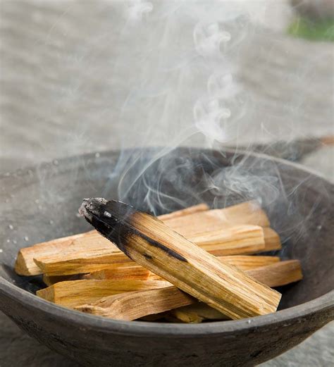 Natural Palo Santo Wood, 2 lb. Bag | Fire Starters | Palo santo wood ...