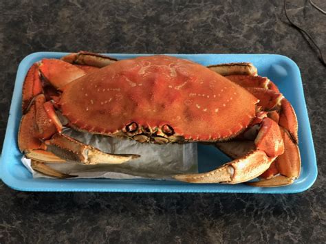 Traeger Smoked Dungeness Crab Recipes » PelletSmoker.net