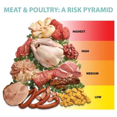 Risky Meat | Center for Science in the Public Interest