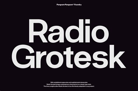 Radio Grotesk Sans Font Family