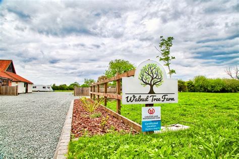 Gallery - Walnut Tree Farm Norfolk