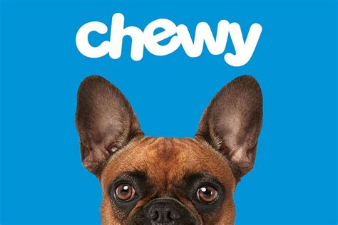 Chewy sales growth reflects pet industry e-commerce boom | 2020-09-15 | Pet Food Processing