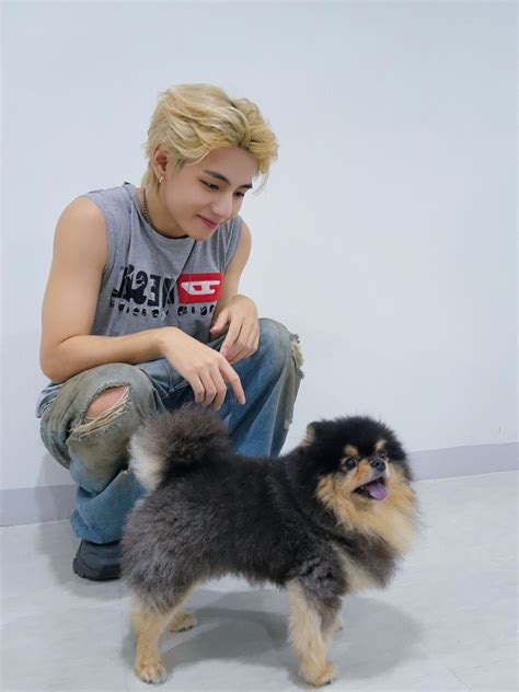 Yeontan, V's adorable dog, steals hearts in show-stopping appearance on Mnet's 'M Countdown ...