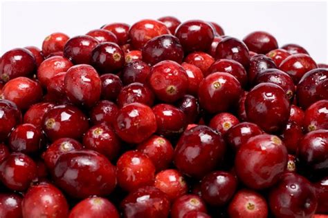 Local culture: WI + Cranberries » pec meetings company