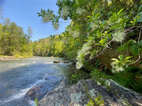 The Adventures of Bushwhack Jack: 2020-05-01 Lake Keowee Camping - Fall ...