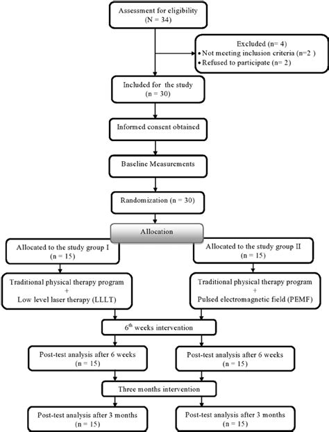 Flow chart showing the experimental design of the study | Download Scientific Diagram