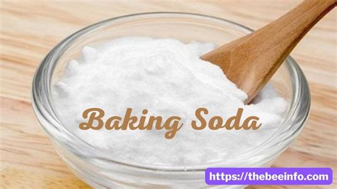 How Do You Use Baking Soda for Killing Bed Bugs - YouTube